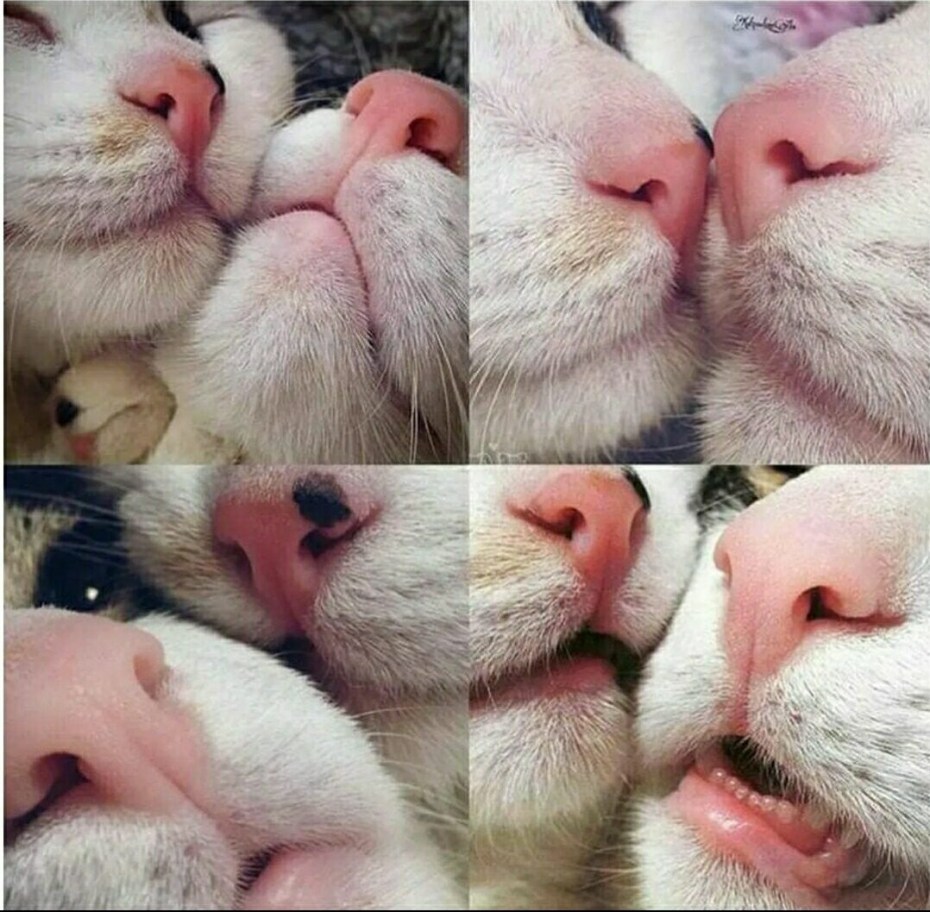 Классные милые