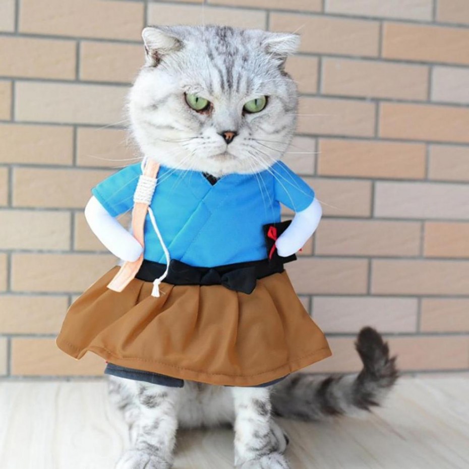 Кот в костюме