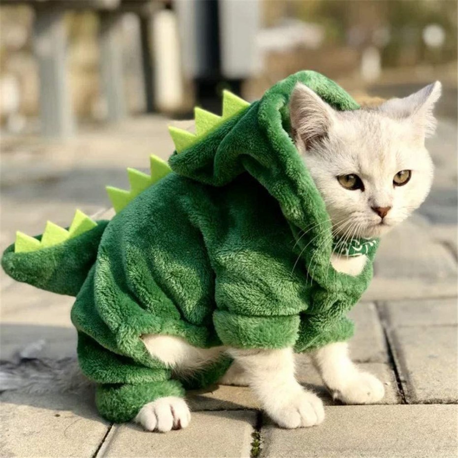 Костюм кошки