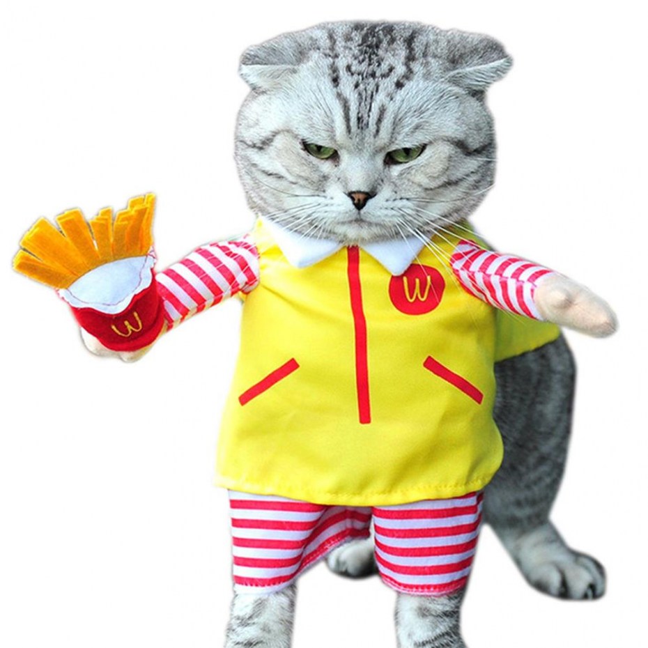 Костюм кошки