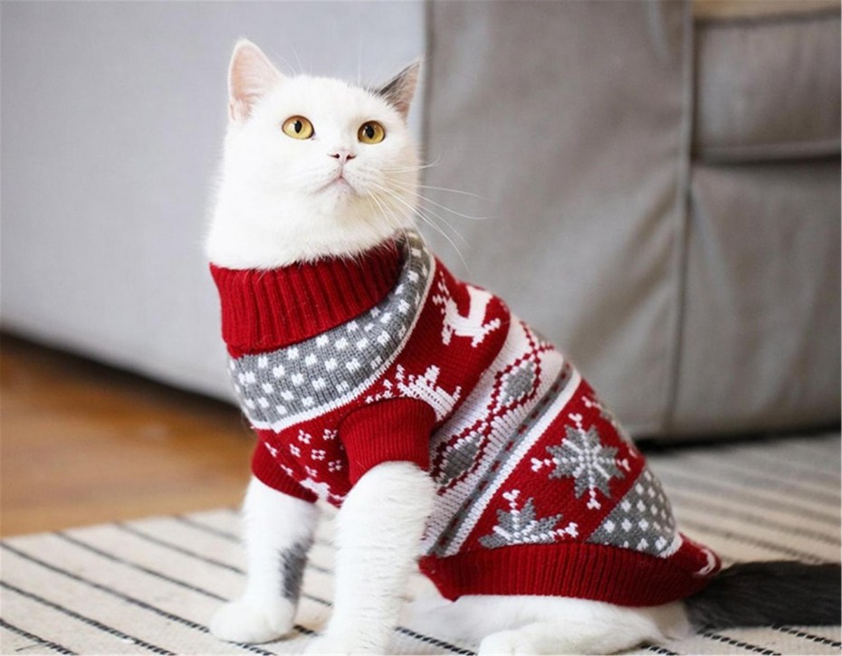 Одежда для кошек