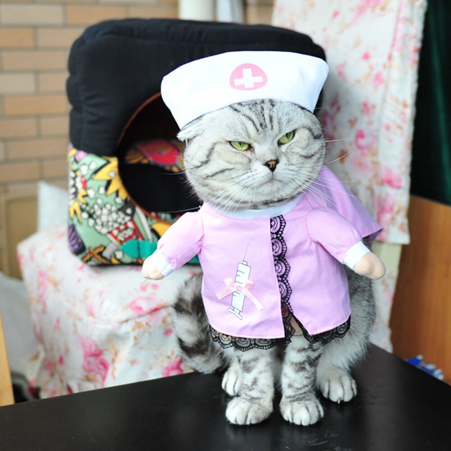 Костюм кошки