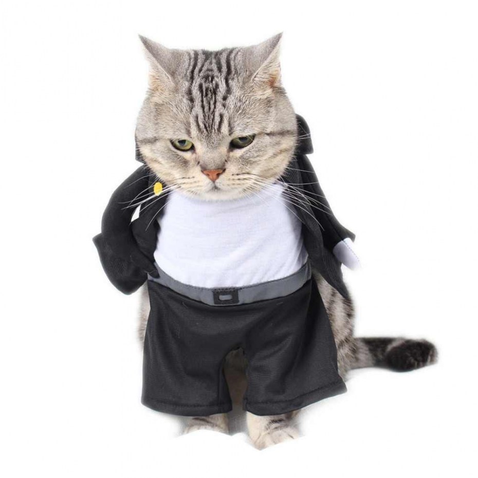 Костюмы для котов