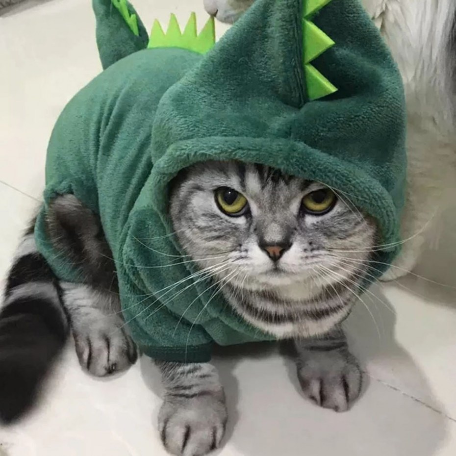 Одежда для котов