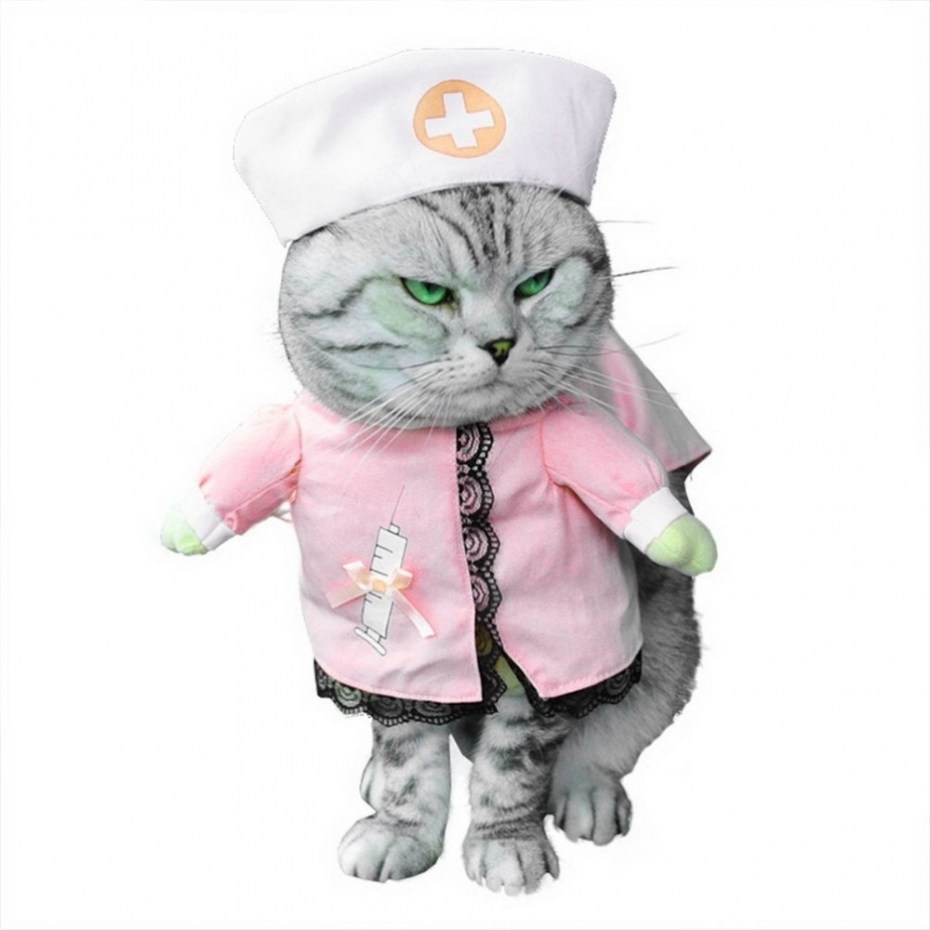 Костюмы для котов