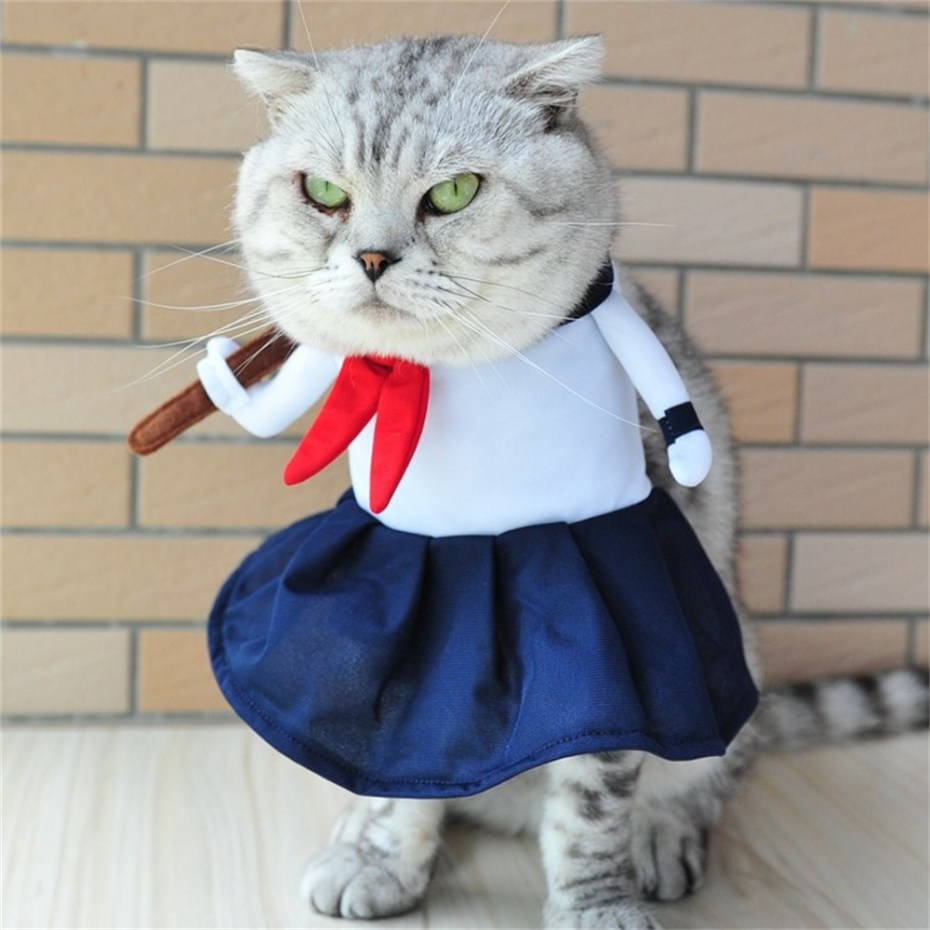 Кот в костюме