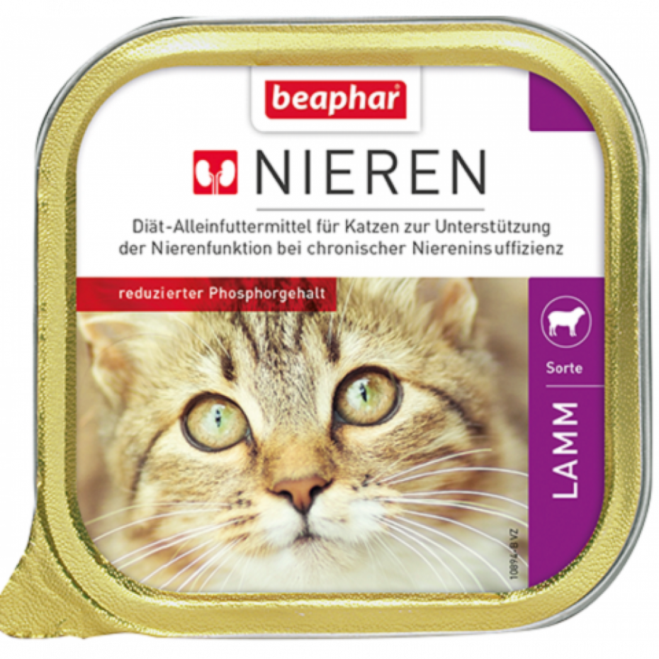Royal Canin Skin & Coat Feline