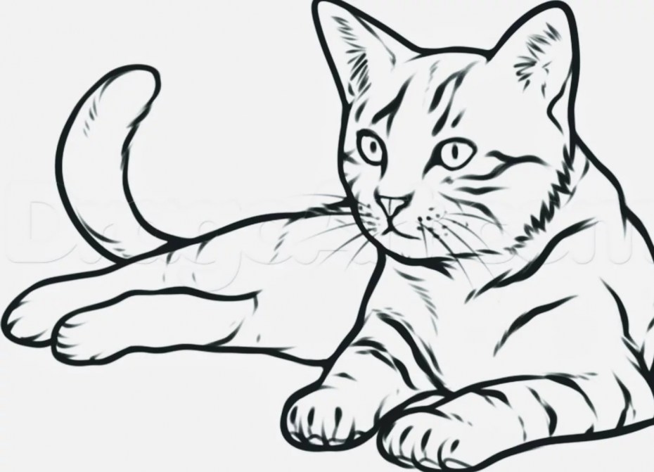 Рисунок кошки для срисовки