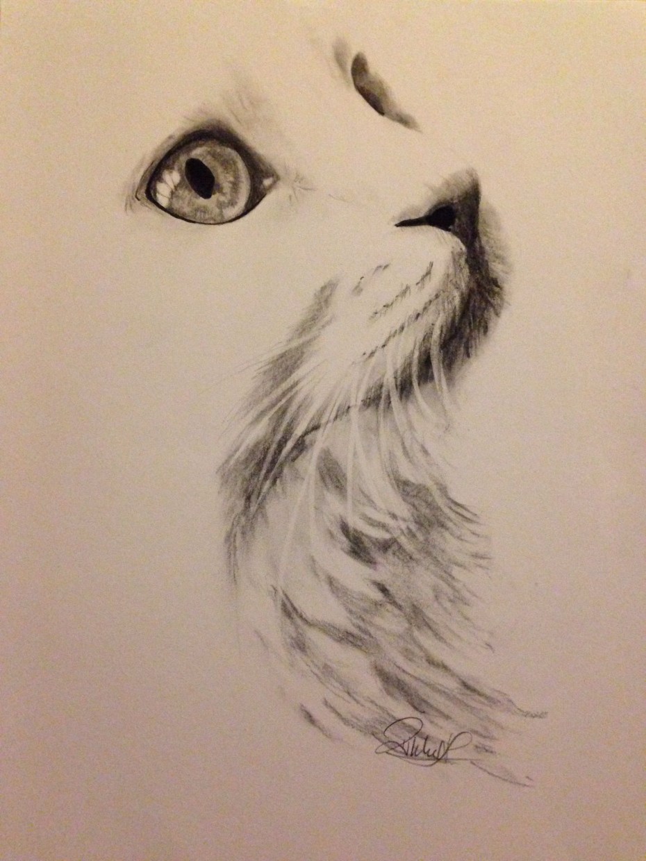 Художник Kellas Campbell