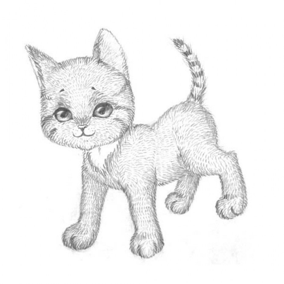 Котёнок рисунок карандашом