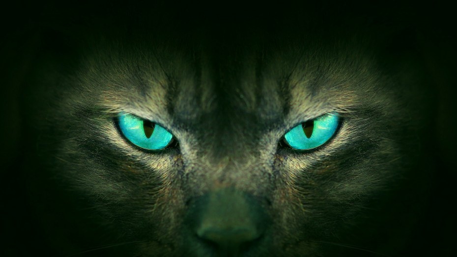 Кошачий глаз