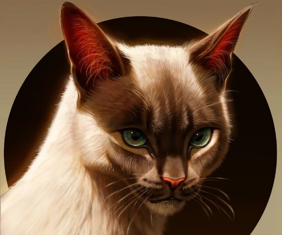 Аватар кошка