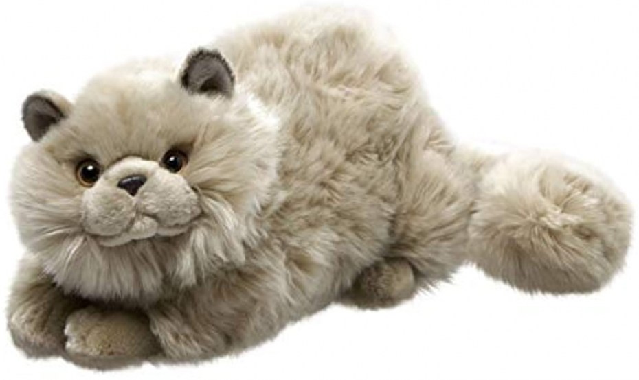 Leosco кот