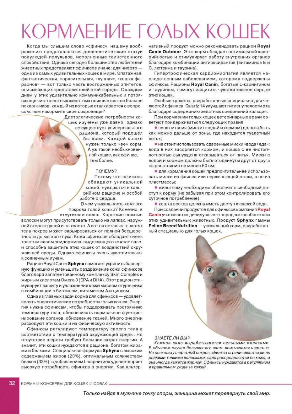 Нормы кормления сфинкса
