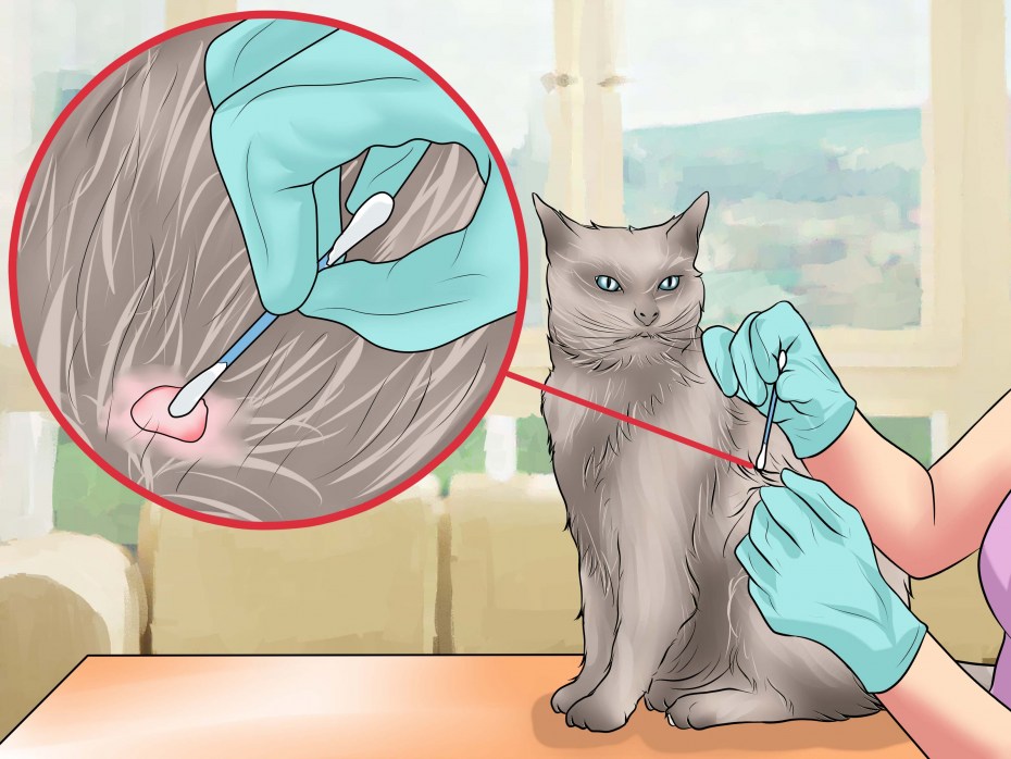 Укотаопухла нижняя селюсть