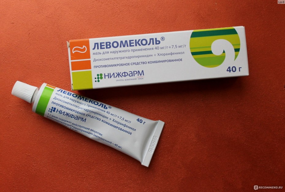 Кошка кусает