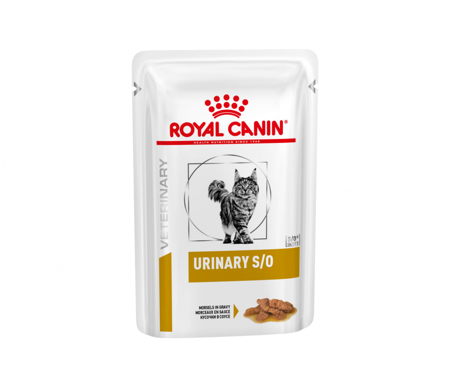 Royal Canin Gastro intestinal для кошек паучи
