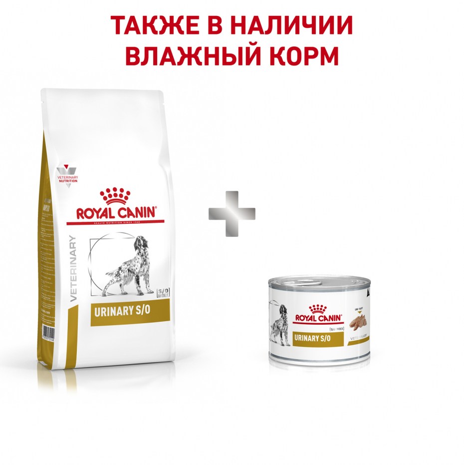 Royal Canin Urinary s/o для собак