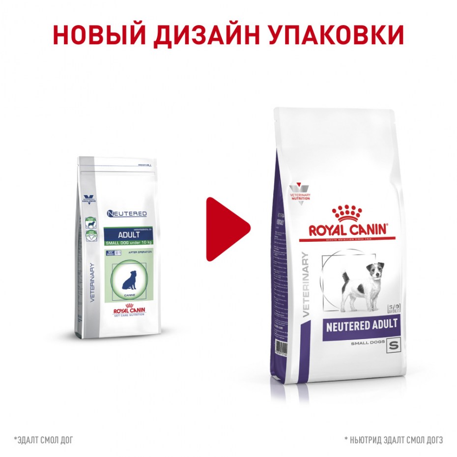 Royal Canin (Роял Канин) Neutered Adult small Dog