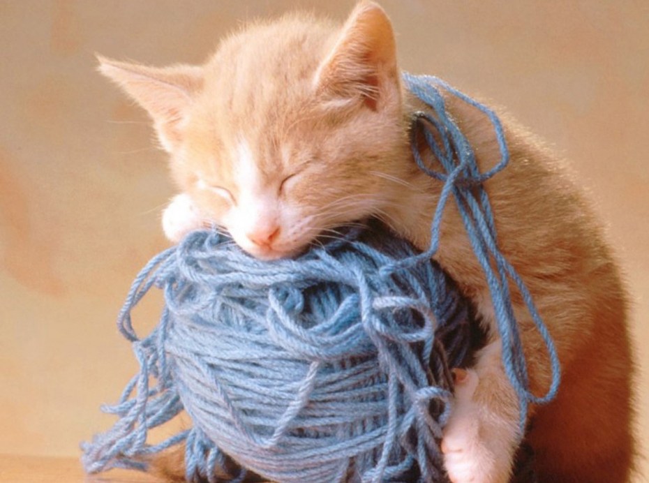 Кот с клубком