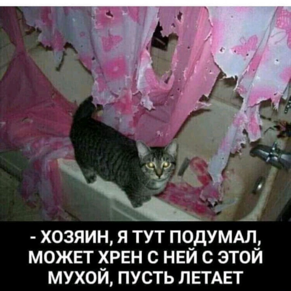 Ласковая кошечка