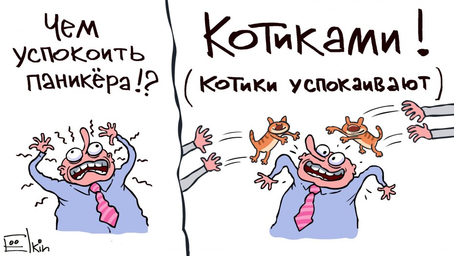 Кот успокаивает