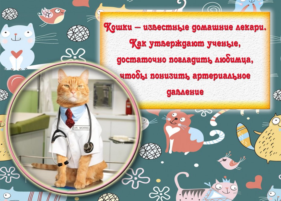 Интересные факты о кошачьих