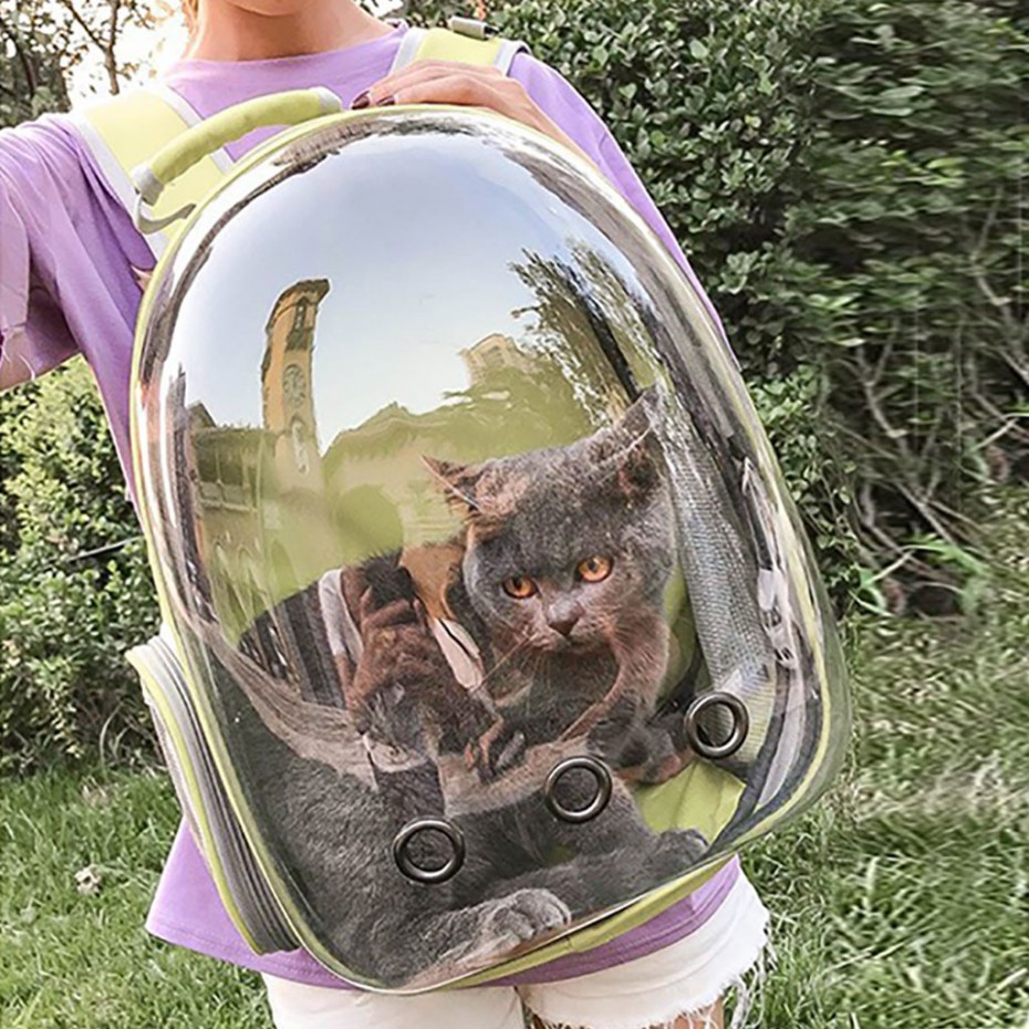 Pet Fashion рюкзак-переноска "панорама", синий, 34х27х40см.