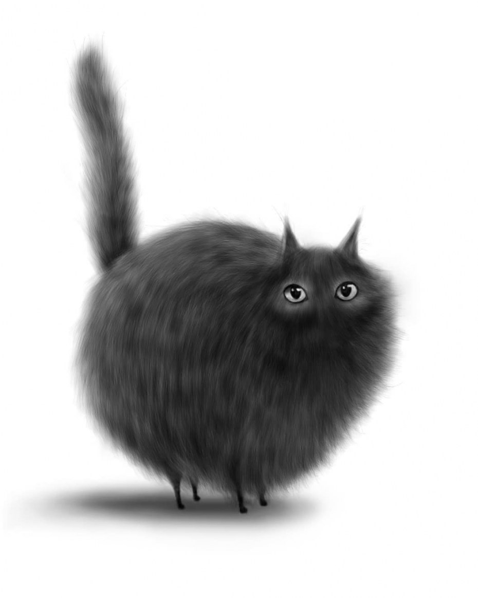 Чёрный кот