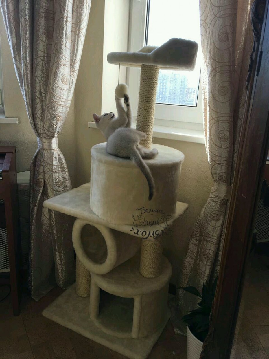 Домик для кошки из джута