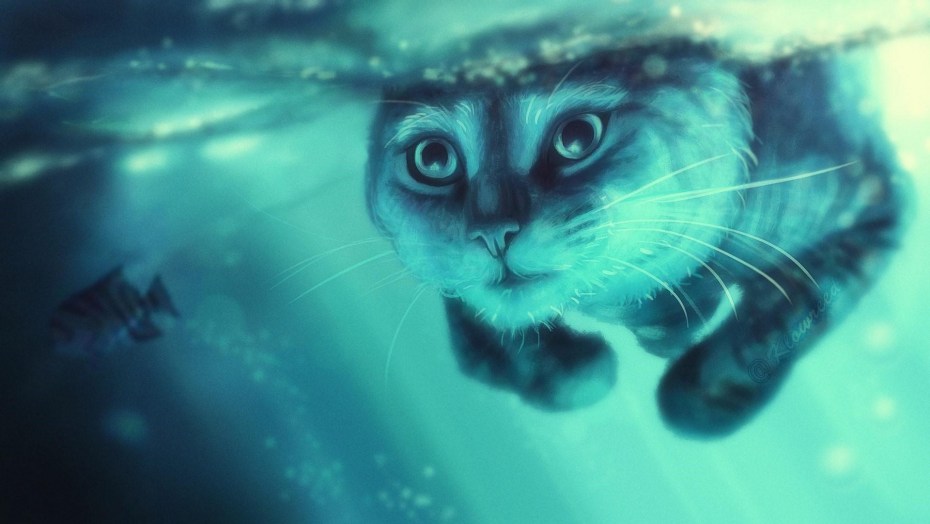 Кот под водой