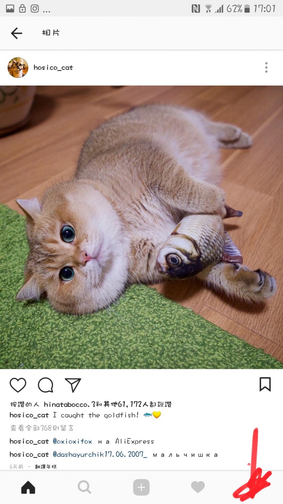 Кот Федор Михайлович щекастый