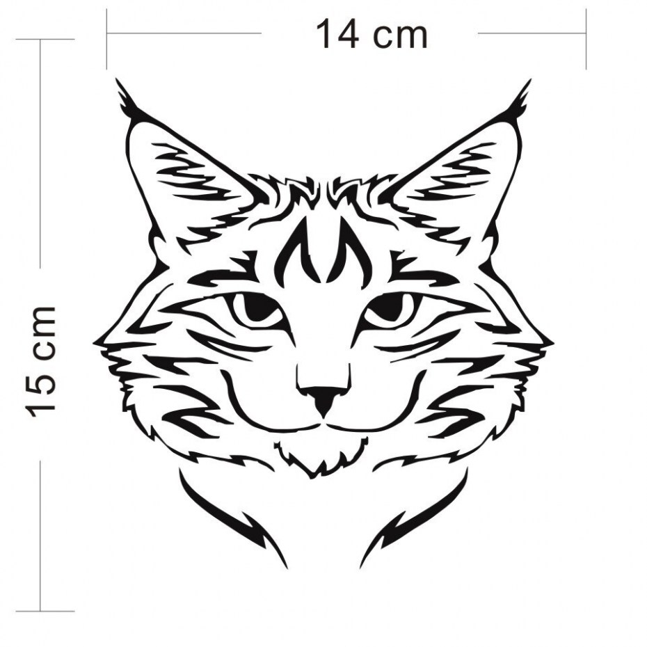 Кошка Мейн кун