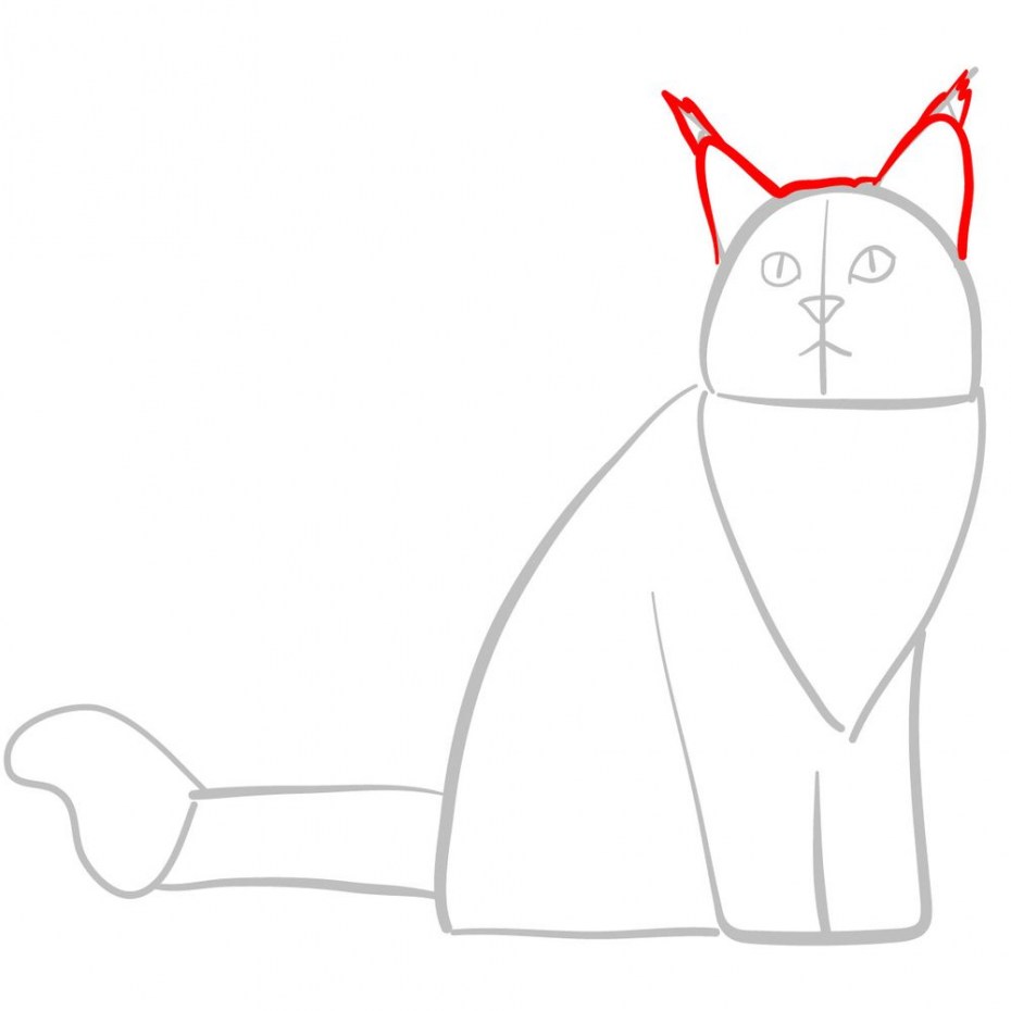 Раскраска британский кот