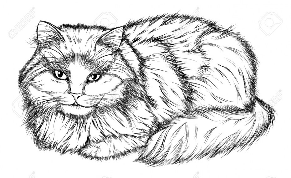 Раскраска кошка на дере
