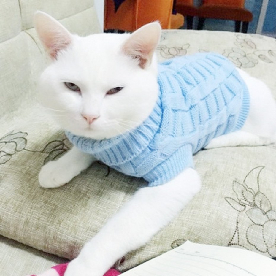 Свитер для кошки