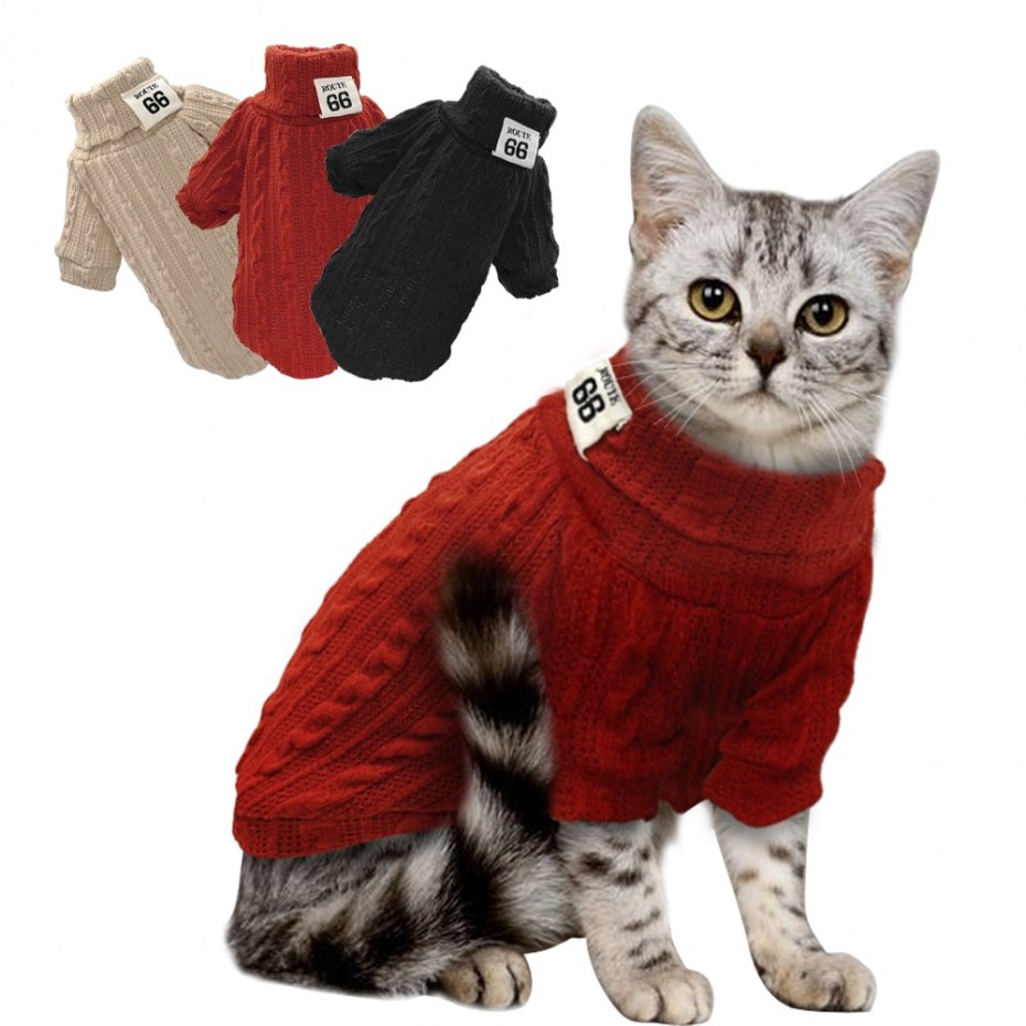 Котик под пледом