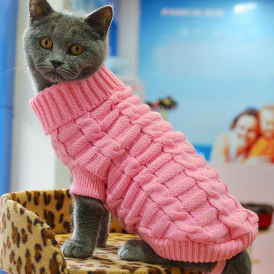 Одежда для кошек