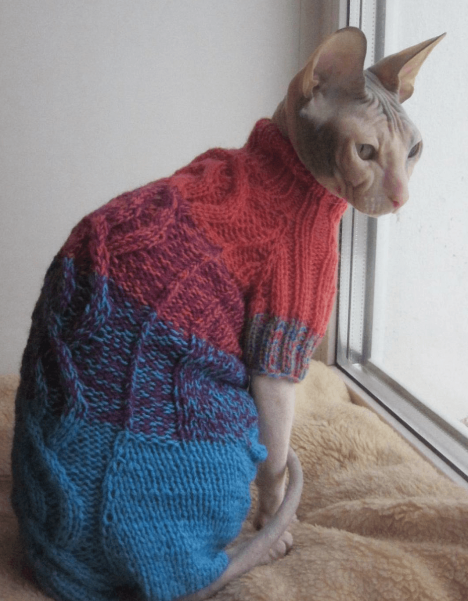 Кофта для лысой кошки