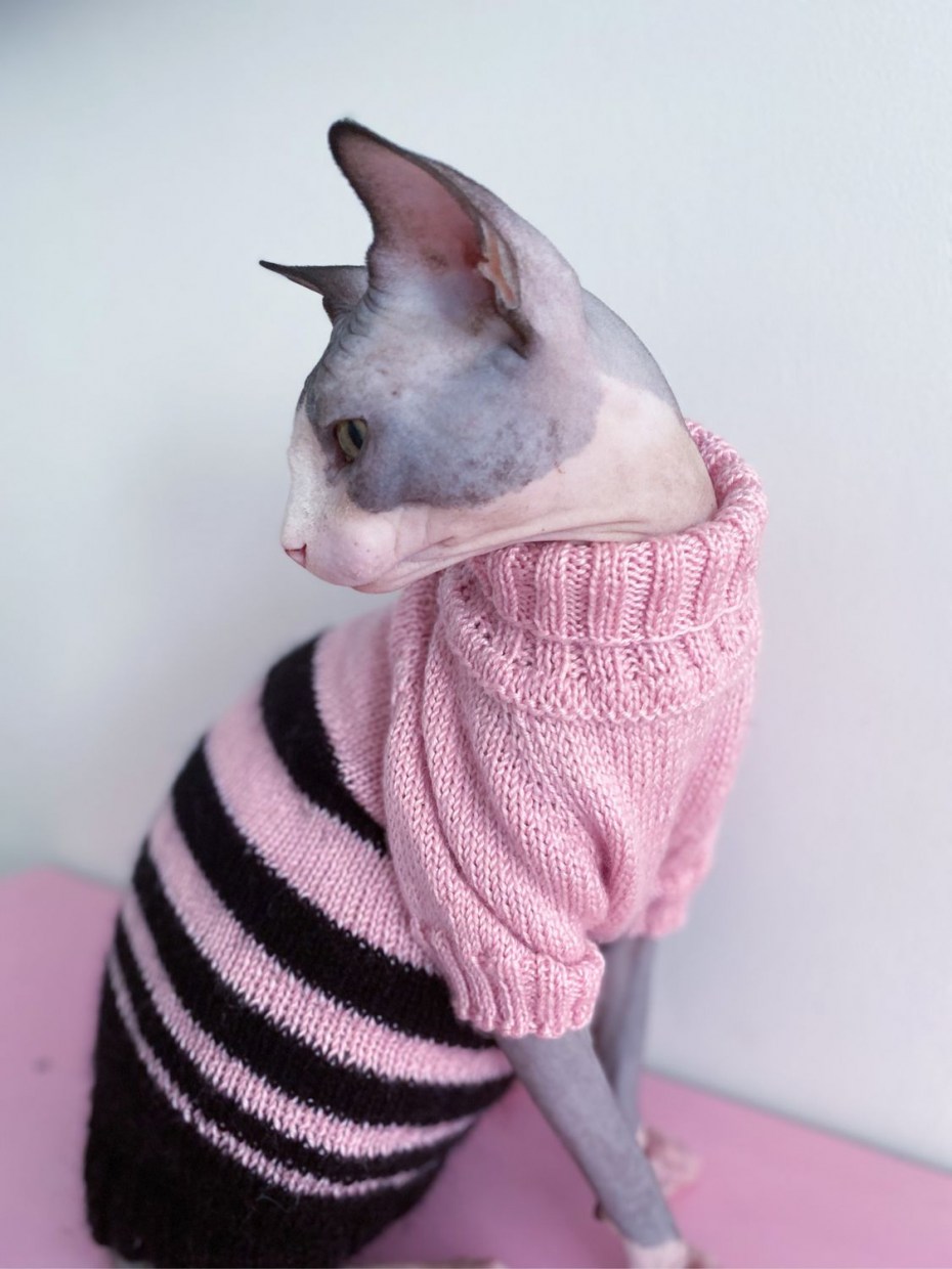 Вязаная кофта для кота