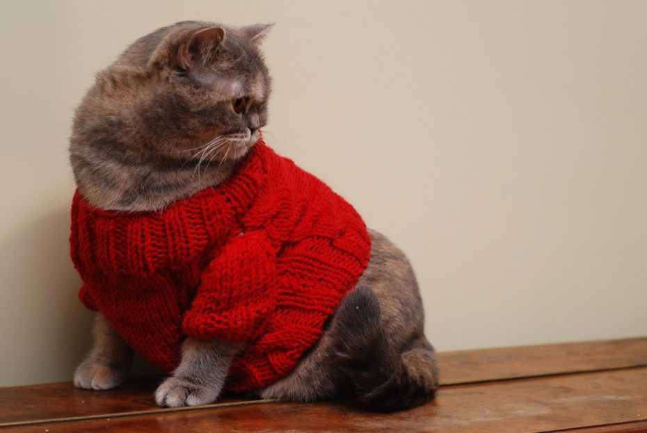Свитер из кошачьей шерсти