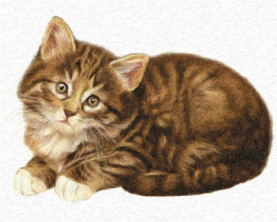 Кошка для детского сада