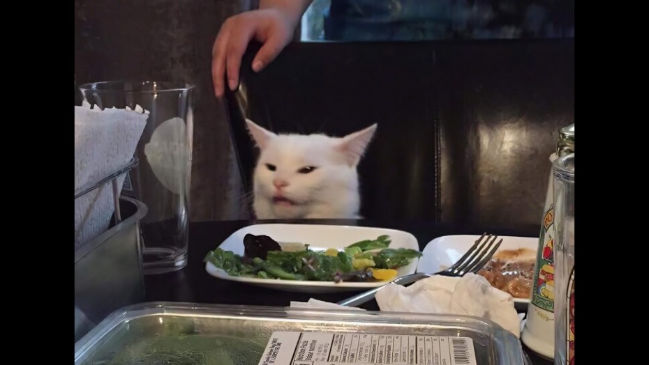 Кошка кричит