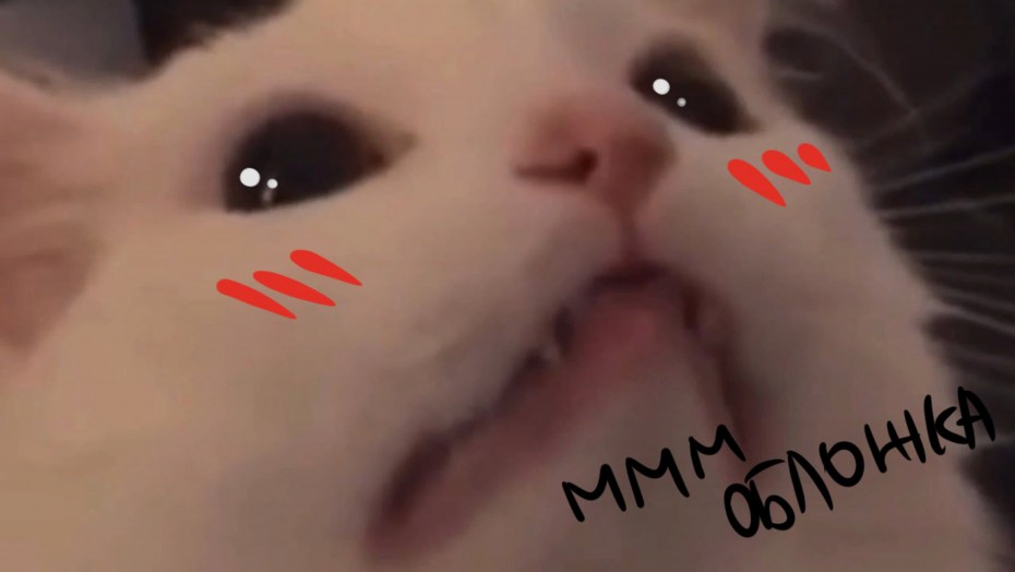 Орущий белый кот