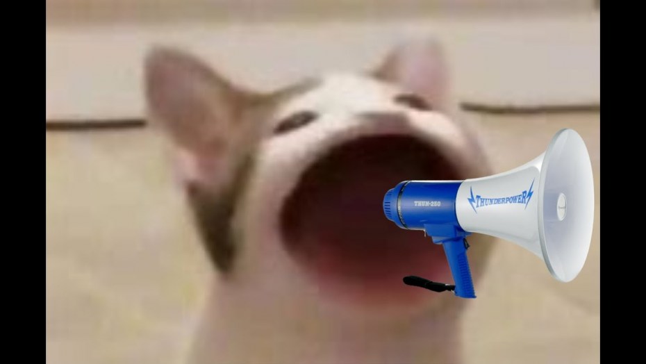 Орущий кот