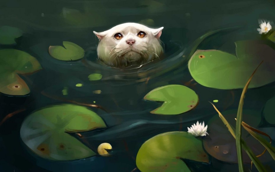 Коты плавают