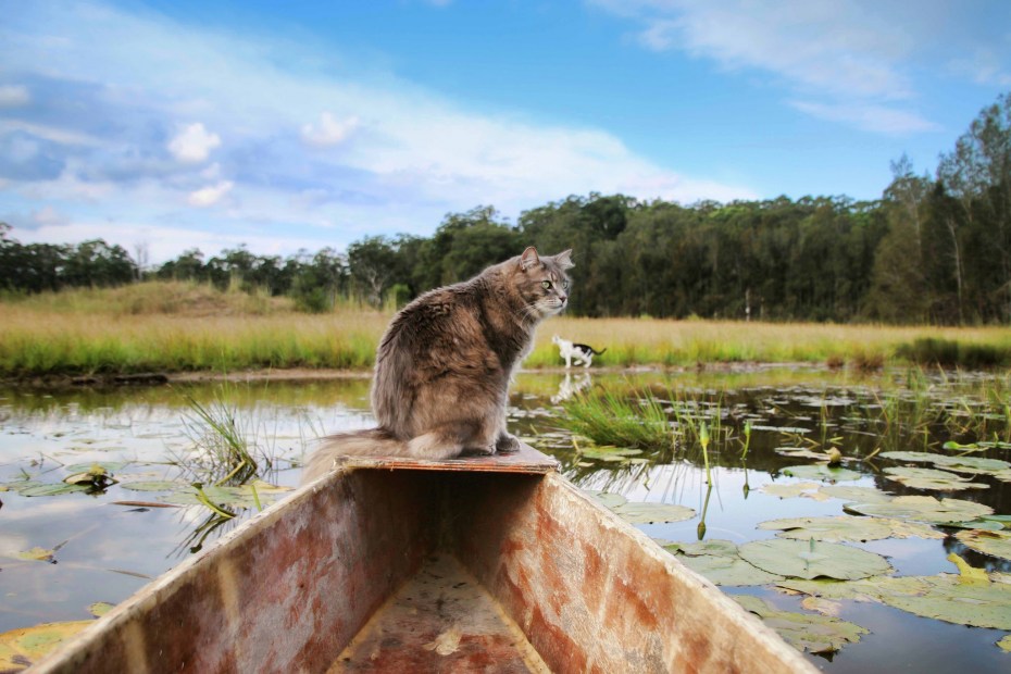 Кошка озеро