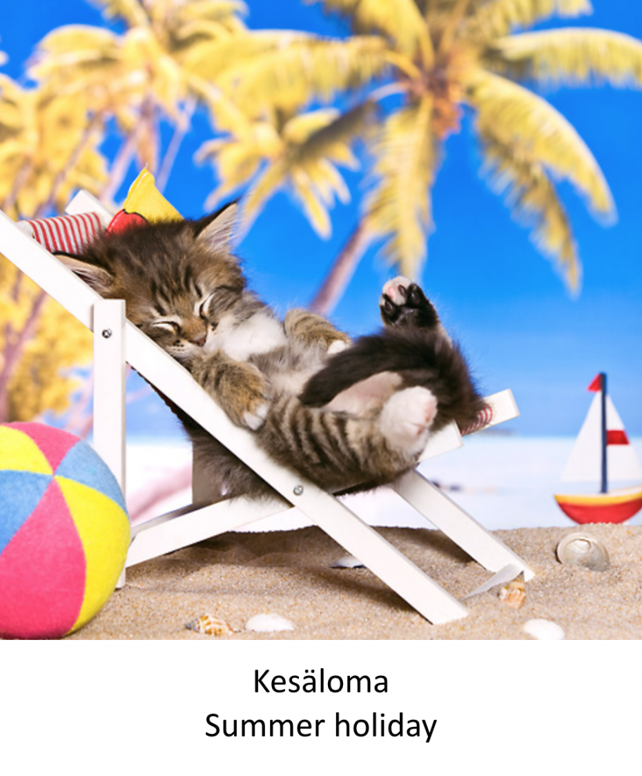 Котик на шезлонге