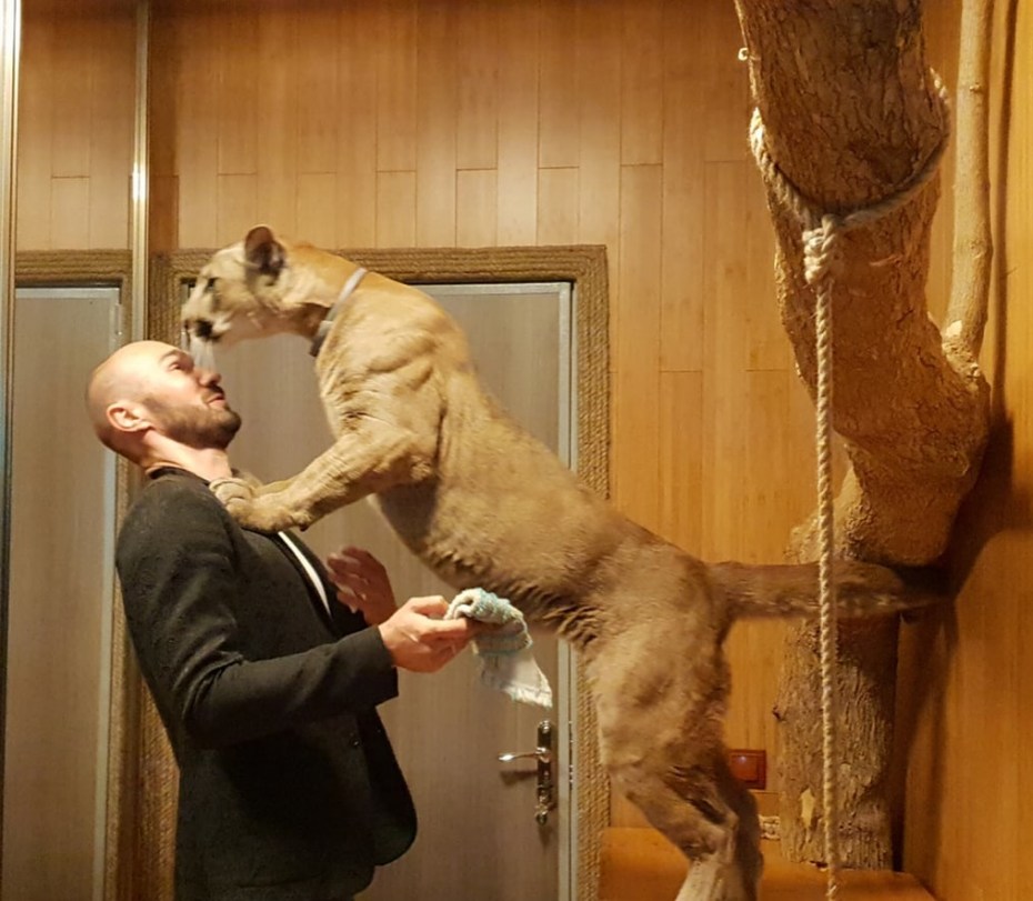 Пума Месси его хозяева