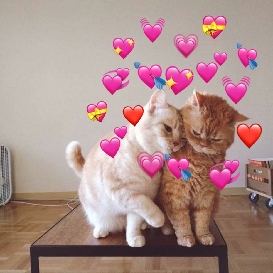Кошечка с сердечком